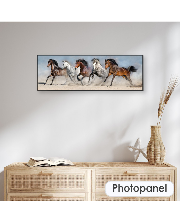 Caballos salvajes corriendo en polvo del desierto