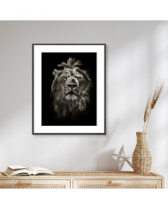 Retrato del león, Parque Nacional Masai Mara, Kenia