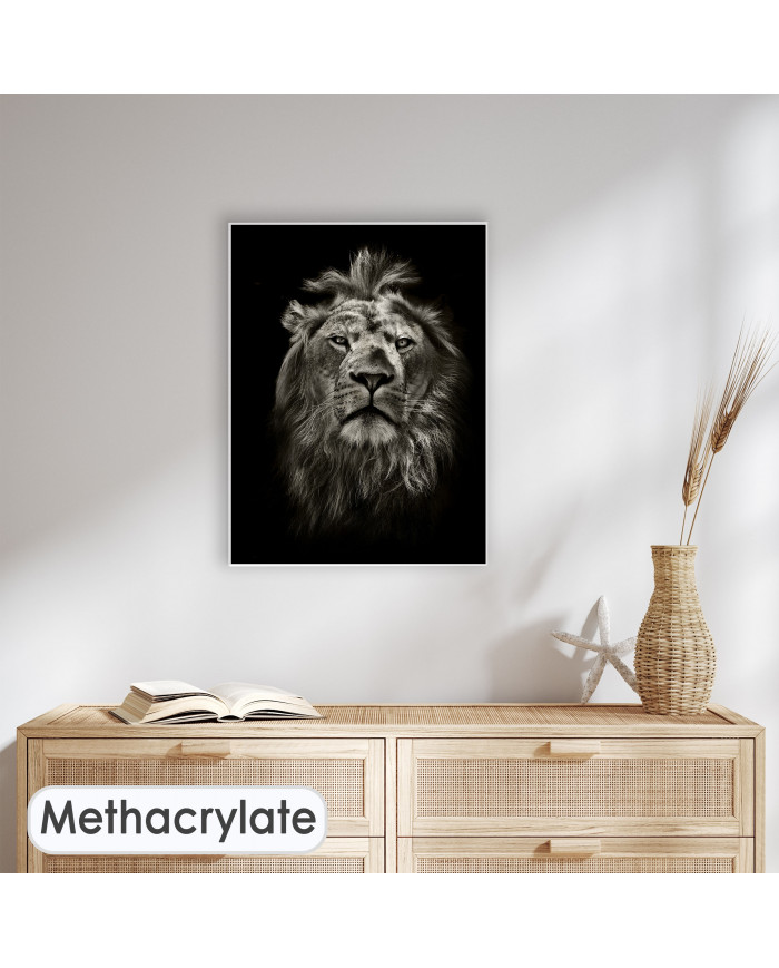 Retrato del león, Parque Nacional Masai Mara, Kenia