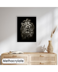 Retrato del león, Parque Nacional Masai Mara, Kenia