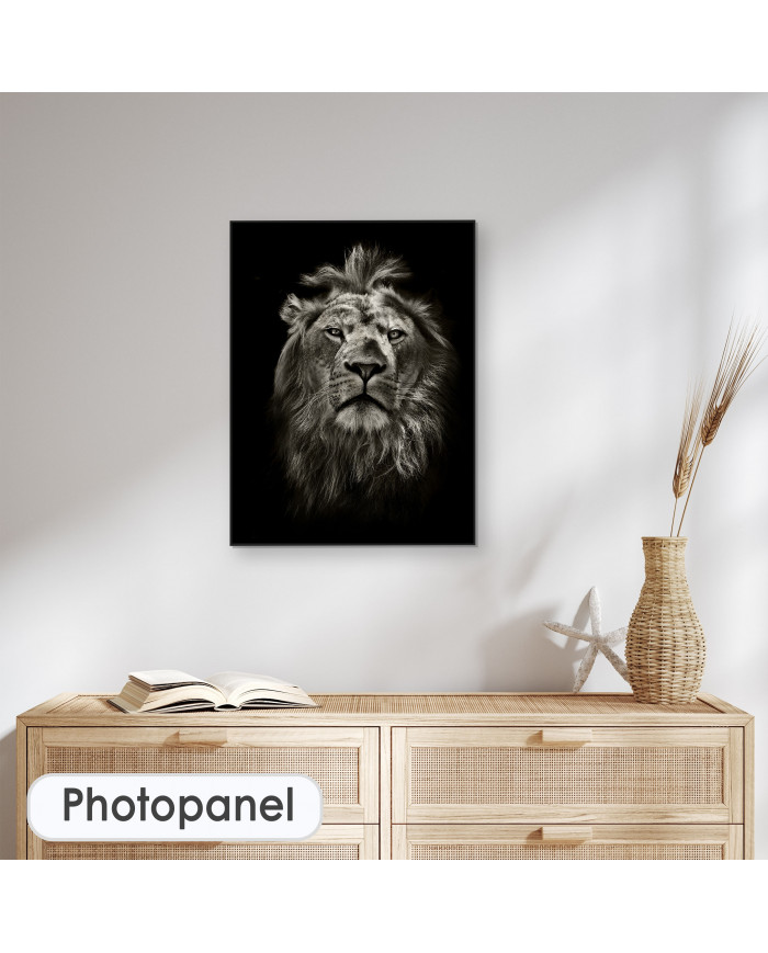 Retrato del león, Parque Nacional Masai Mara, Kenia