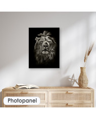 Retrato del león, Parque Nacional Masai Mara, Kenia