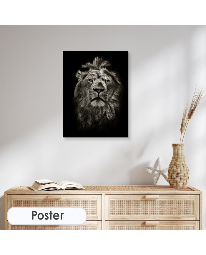 Retrato del león, Parque Nacional Masai Mara, Kenia