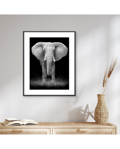 Elefante en la reserva de Gondwana, SudÁfrica Elefante en la reserva de Gondwana, SudÁfrica