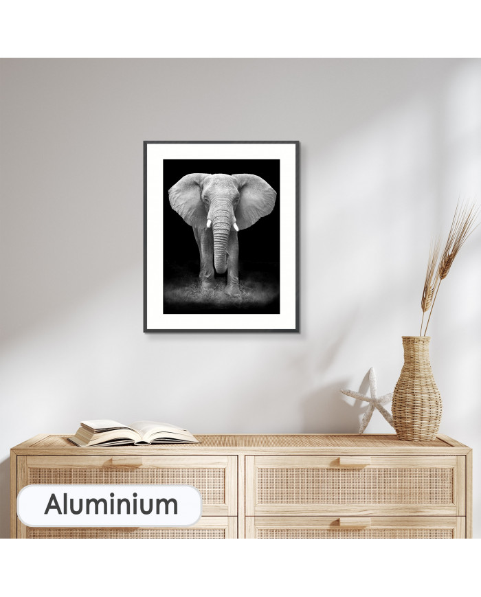 Elefante en la reserva de Gondwana, SudÁfrica