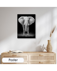 Elefante en la reserva de Gondwana, SudÁfrica