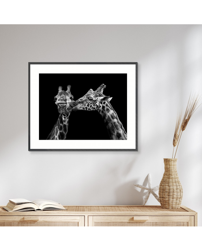 Retrato de jirafas besándose