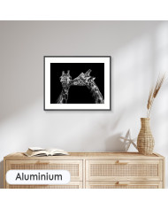 Retrato de jirafas besándose