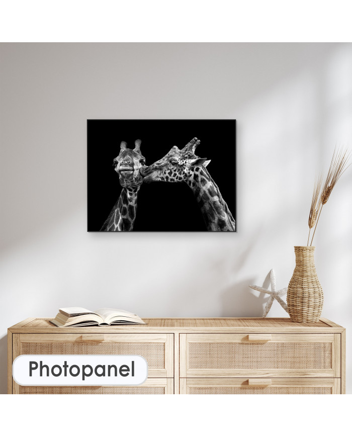 Retrato de jirafas besándose