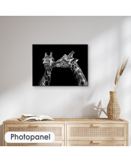 Retrato de jirafas besándose