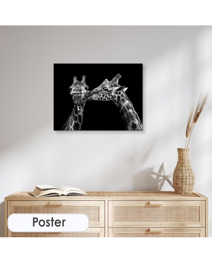 Retrato de jirafas besándose