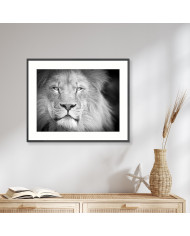 Retrato de un león, Parque Nacional Serengueti, Tanzania