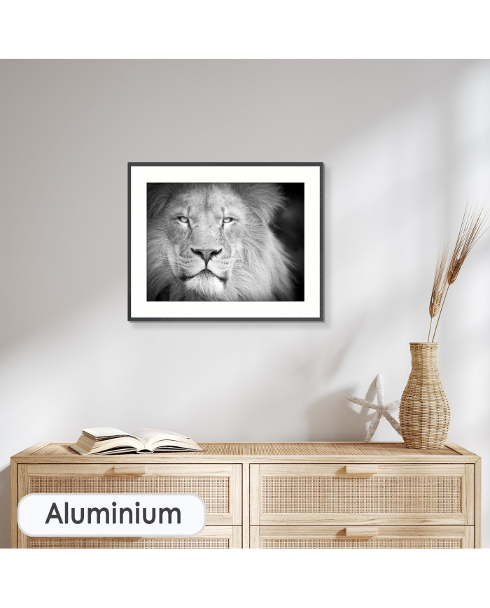 Retrato de un león, Parque Nacional Serengueti, Tanzania