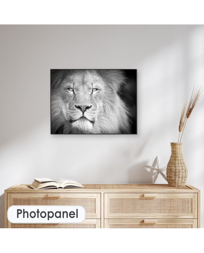 Retrato de un león, Parque Nacional Serengueti, Tanzania