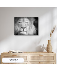 Retrato de un león, Parque Nacional Serengueti, Tanzania