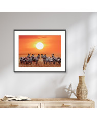 Zebras en el Parque Nacional de Serengueti, Tanzania