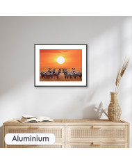 Zebras en el Parque Nacional de Serengueti, Tanzania