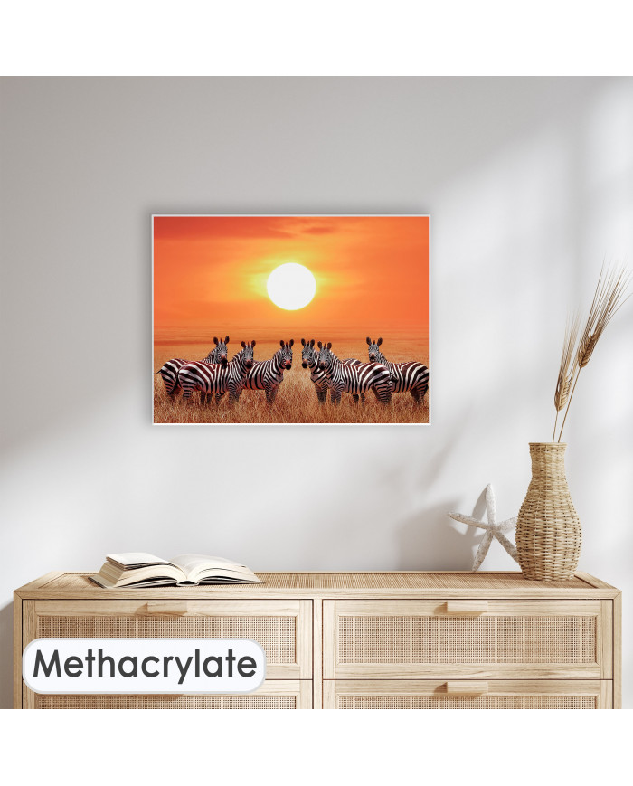 Zebras en el Parque Nacional de Serengueti, Tanzania