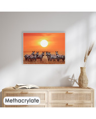 Zebras en el Parque Nacional de Serengueti, Tanzania