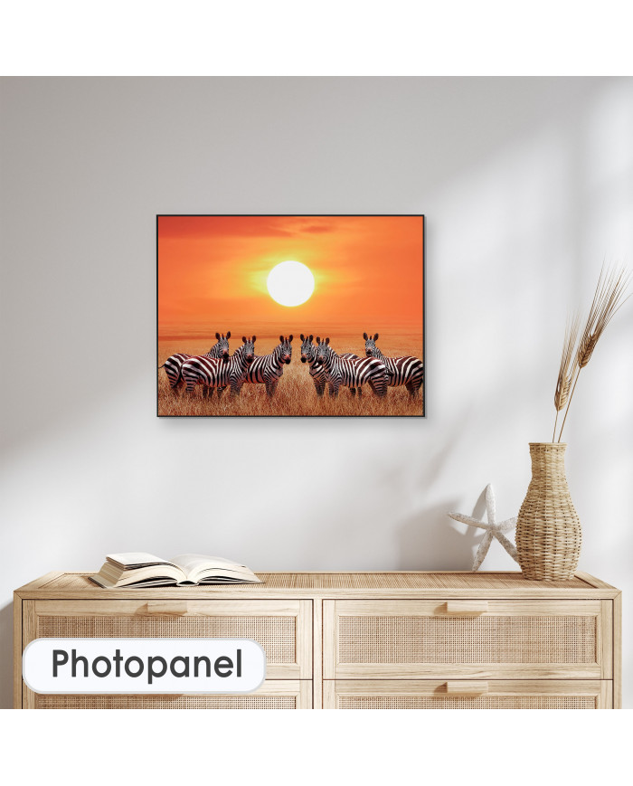 Zebras en el Parque Nacional de Serengueti, Tanzania