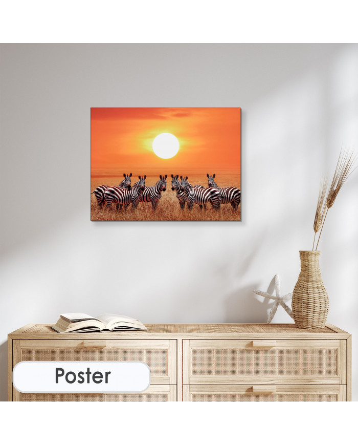 Zebras en el Parque Nacional de Serengueti, Tanzania