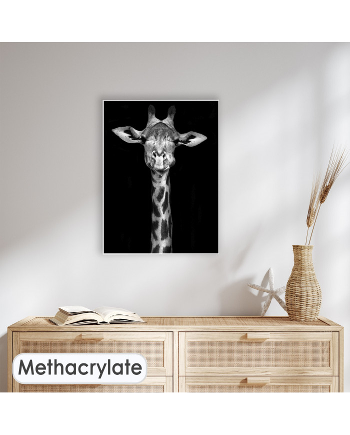 Retrato de una jirafa, Nairobi, Kenia