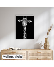 Retrato de una jirafa, Nairobi, Kenia