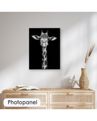 Retrato de una jirafa, Nairobi, Kenia