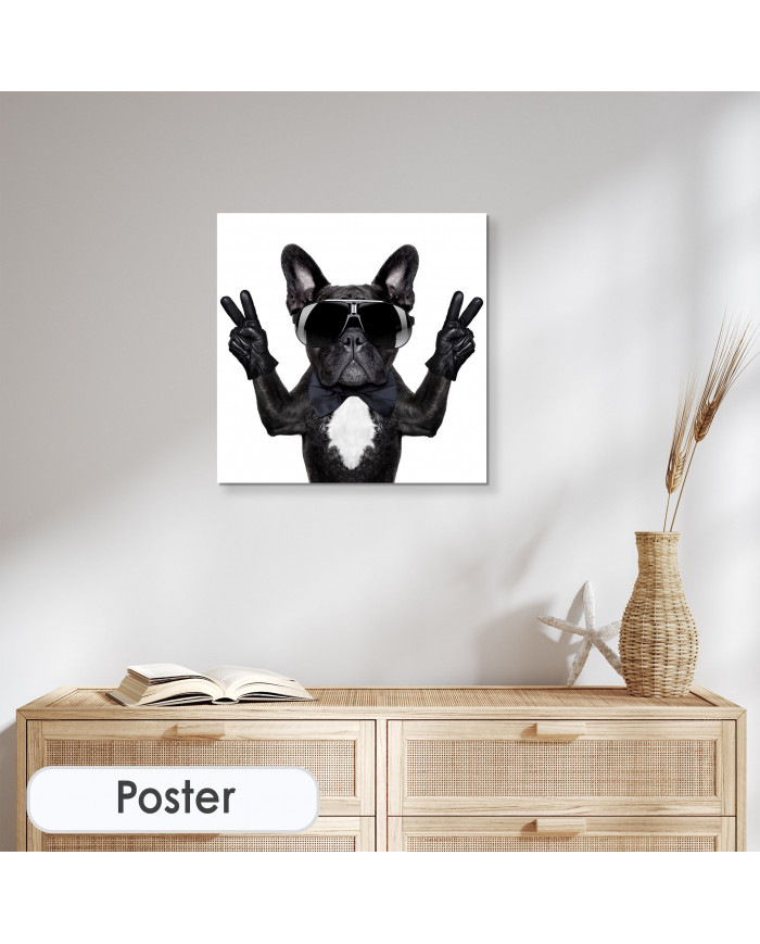 Victoria del buldog francés