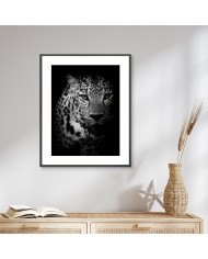 Retrato de un leopardo, Parque Nacional Kruger, SudÁfrica