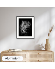 Retrato de un leopardo, Parque Nacional Kruger, SudÁfrica