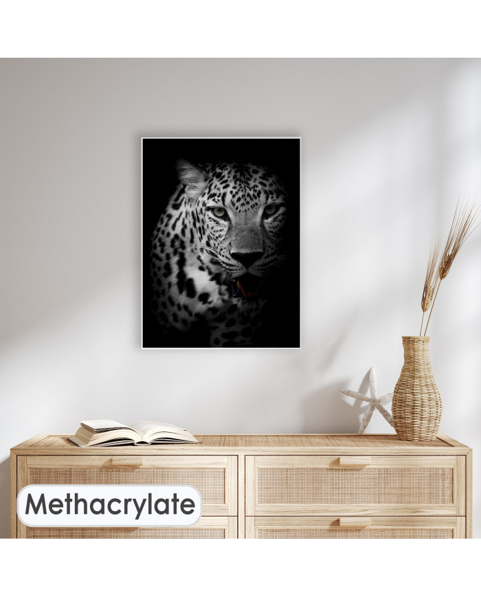 Retrato de un leopardo, Parque Nacional Kruger, SudÁfrica