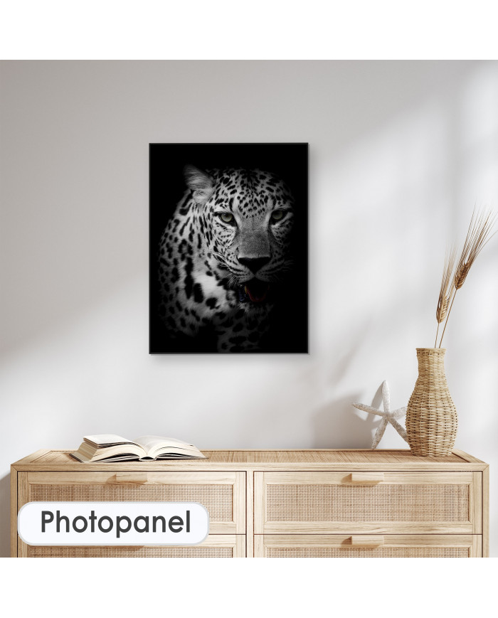 Retrato de un leopardo, Parque Nacional Kruger, SudÁfrica