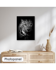 Retrato de un leopardo, Parque Nacional Kruger, SudÁfrica