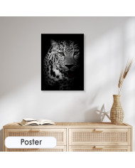 Retrato de un leopardo, Parque Nacional Kruger, SudÁfrica