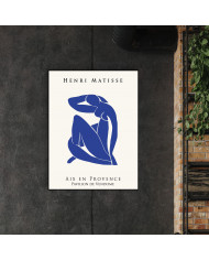 Matisse inspired collection