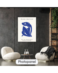 Matisse inspired collection