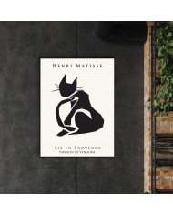 Matisse inspired collection