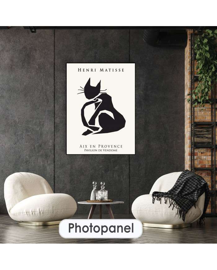 Matisse inspired collection