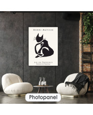 Matisse inspired collection