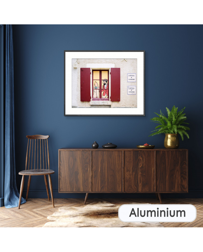 Tintín en el Castillo de Cheverny, Francia