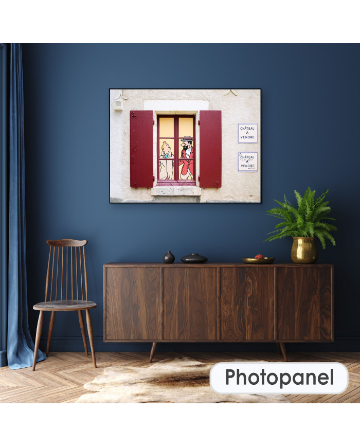 Tintín en el Castillo de Cheverny, Francia