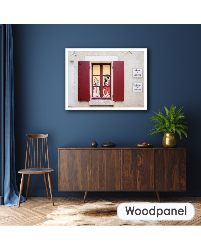 Tintín en el Castillo de Cheverny, Francia