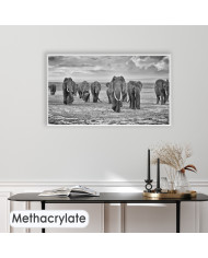 Familia de elefantes, Parque Nacional de Moremi, Bostwana