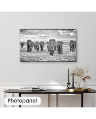 Familia de elefantes, Parque Nacional de Moremi, Bostwana