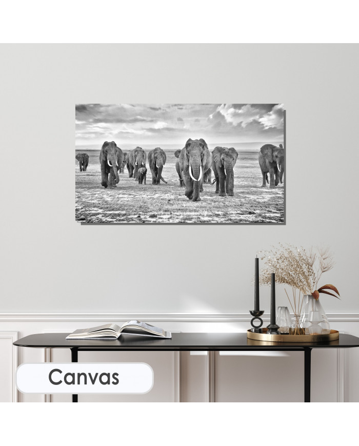 Familia de elefantes, Parque Nacional de Moremi, Bostwana