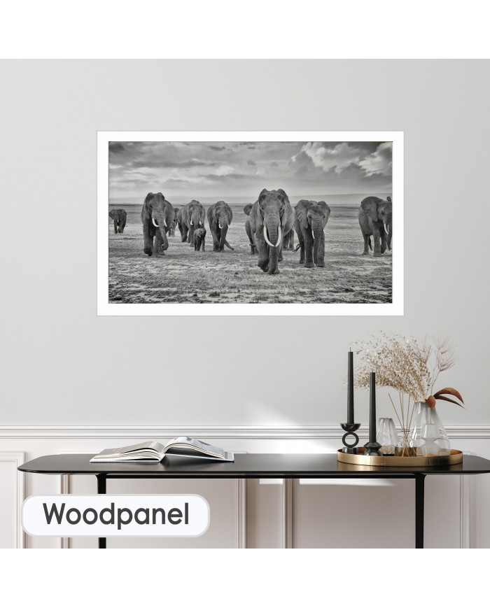 Familia de elefantes, Parque Nacional de Moremi, Bostwana