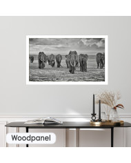 Familia de elefantes, Parque Nacional de Moremi, Bostwana