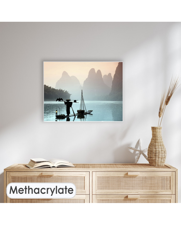 Pescador chino con un cormorán, China