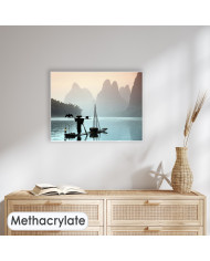 Pescador chino con un cormorán, China